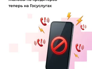 Нижегородцы могут пожаловаться на неправомерные звонки кредиторов на портале «Госуслуги»